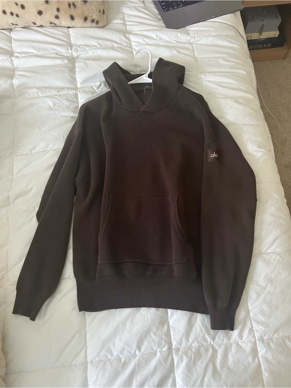Alo Scholar Hooded Sweater - Picture 2 of 4
